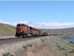 BNSF H-PASBAR